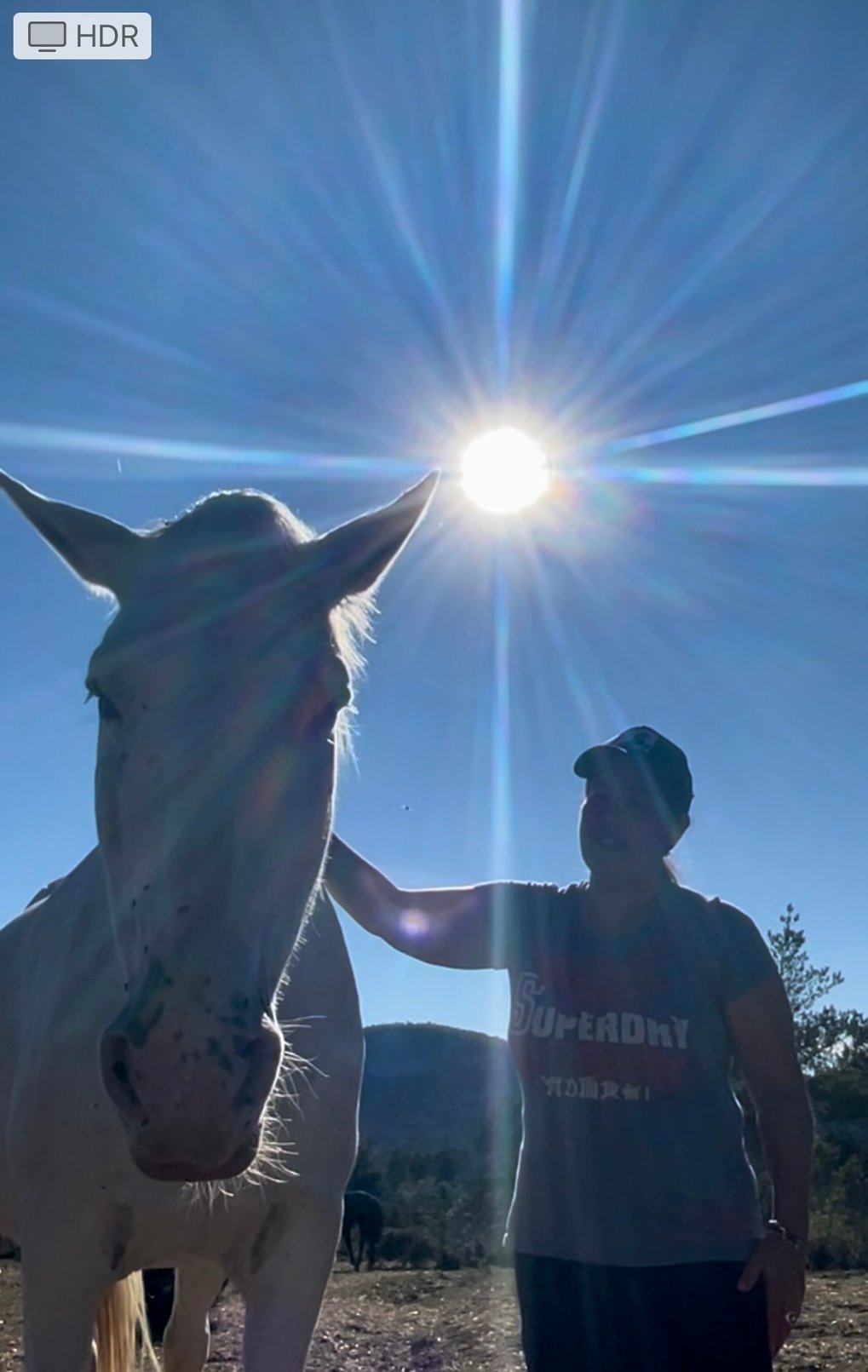 caballos y conexión cielo-tierra