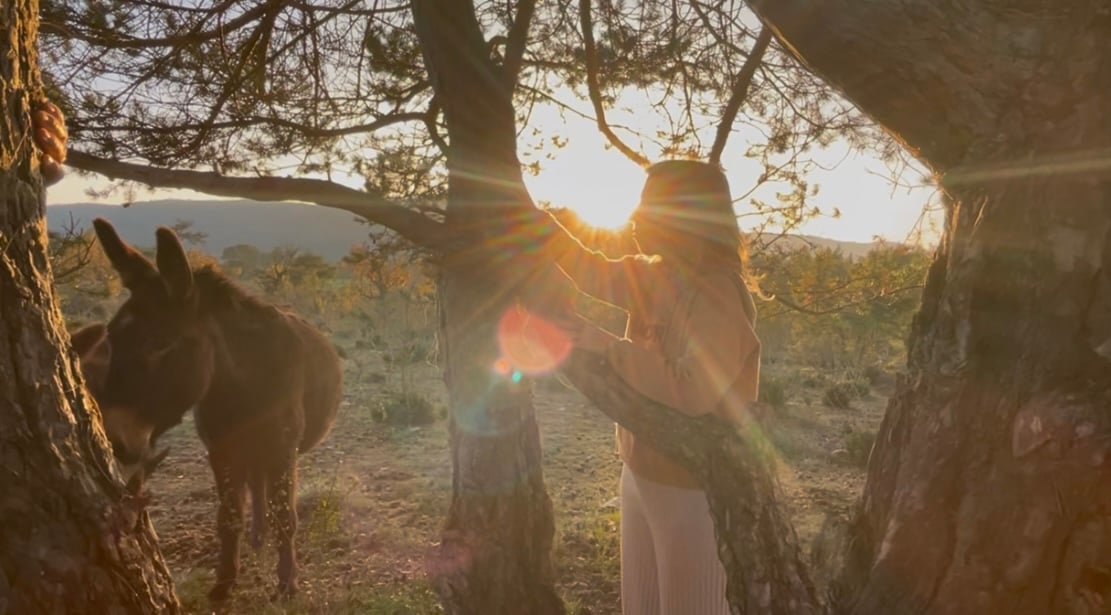 Retiros con caballos